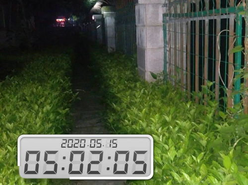 用心服务 大朗碧桂园2020年5月上半月 物业工作简报