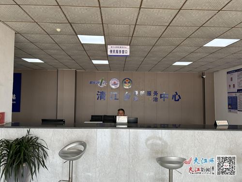 马上就办 真抓实干 武宁县清江乡以实际行动推动政务服务提质增效 组图