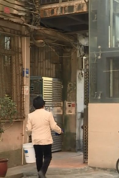 全国首创 电梯托管 服务 破解加装电梯管理难题