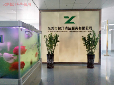 樟木头停车场开荒_智洋环科_学校_工厂_物业_别墅_新旧楼宇